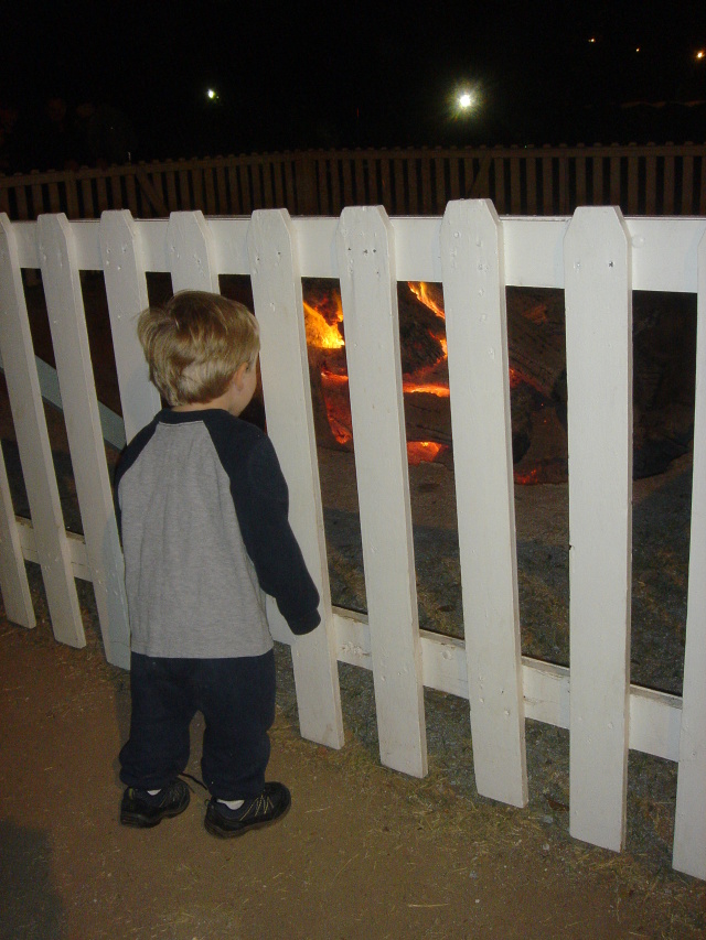 2006/12(Dec)/02(Trail of Lights Austin)/2006-12-14-Trail-Of-Lights-00.JPG